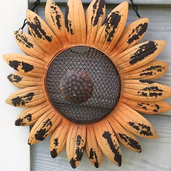 Meet your Posher, Ellen - Picture 4 of 4